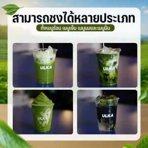 การชงชาเขียว