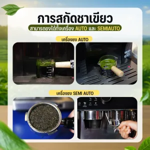การสกัดชาเขียว