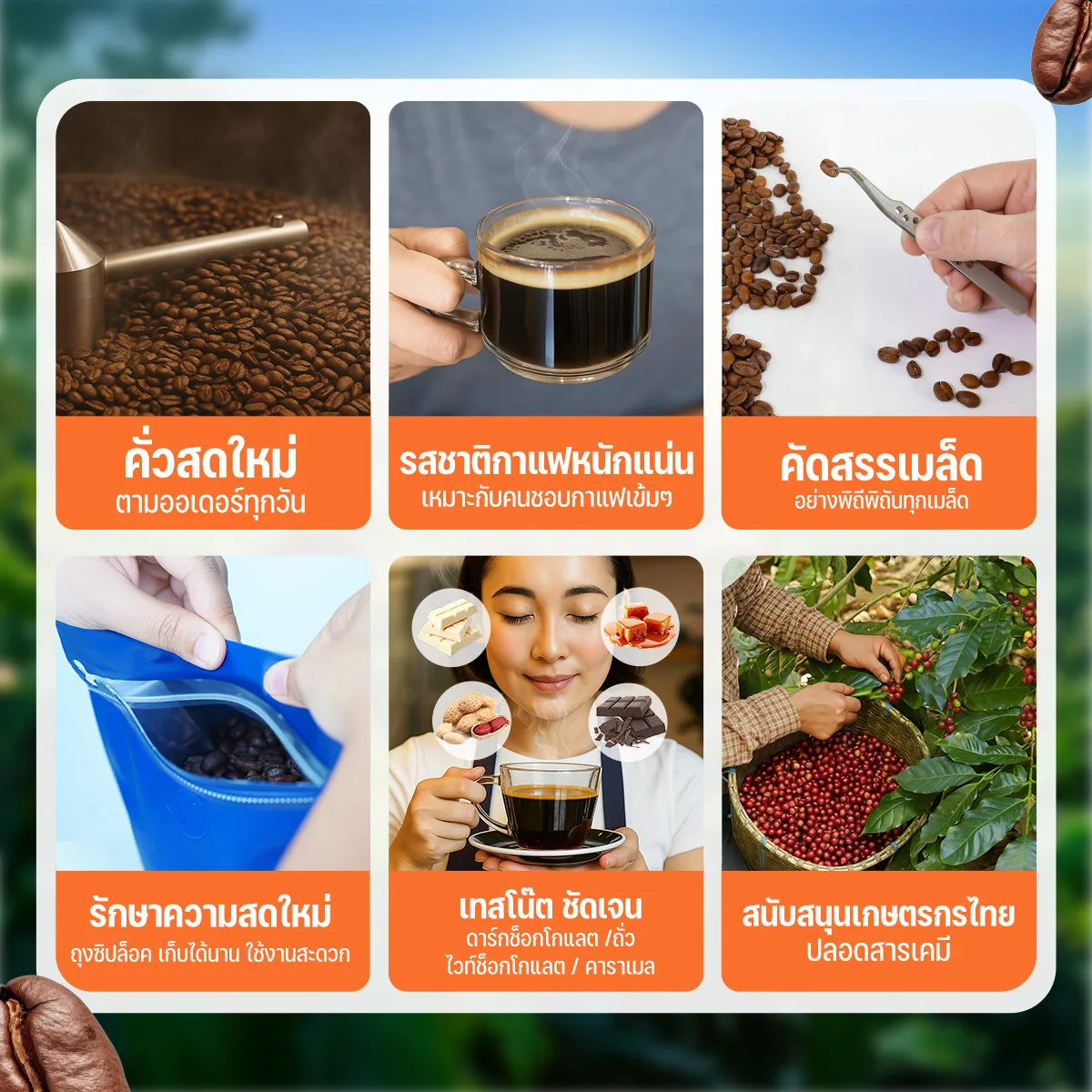 เมล็ดกาแฟคั่วกลางเข้ม Robusta100% - Image 5