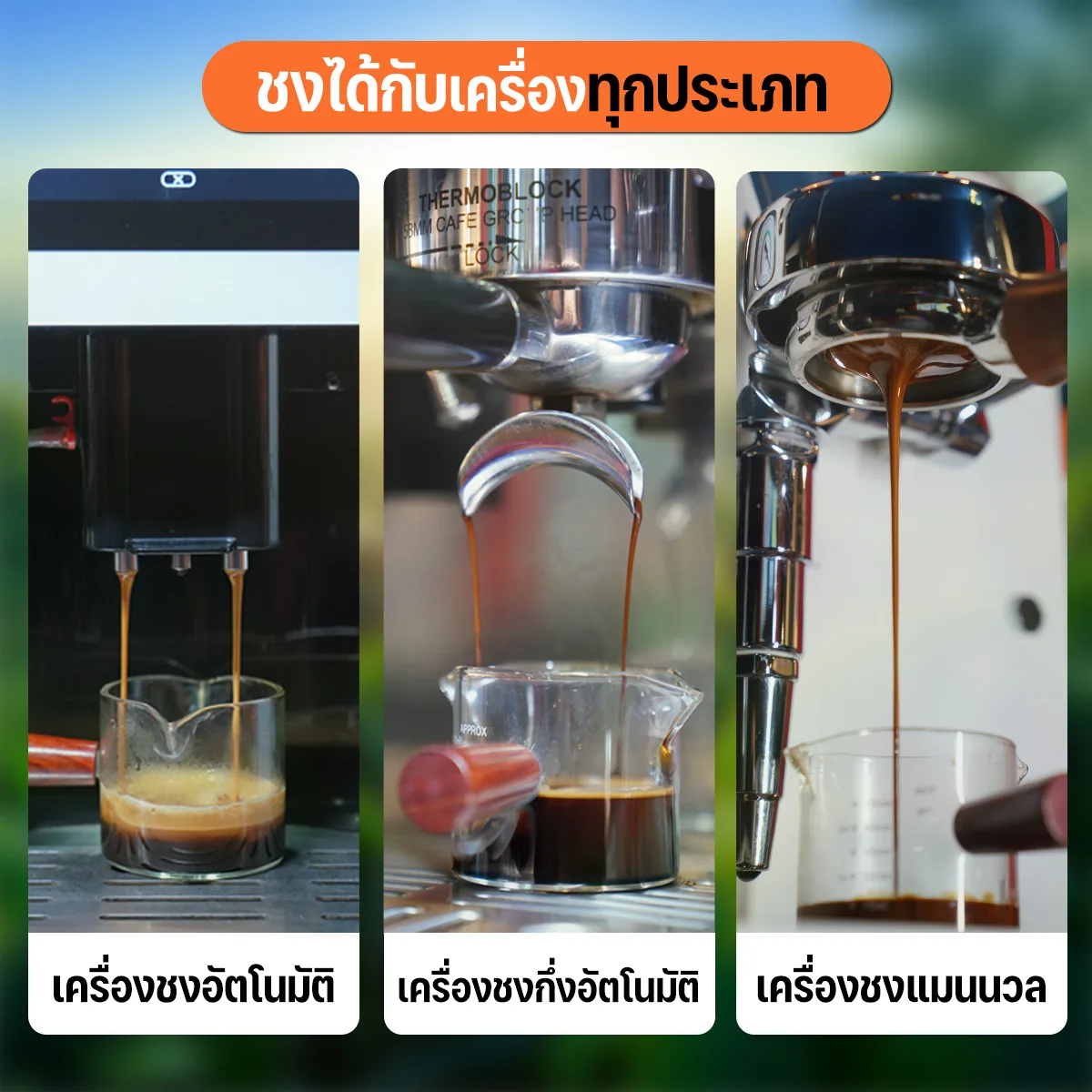 เมล็ดกาแฟคั่วกลางเข้ม Robusta100% - Image 6