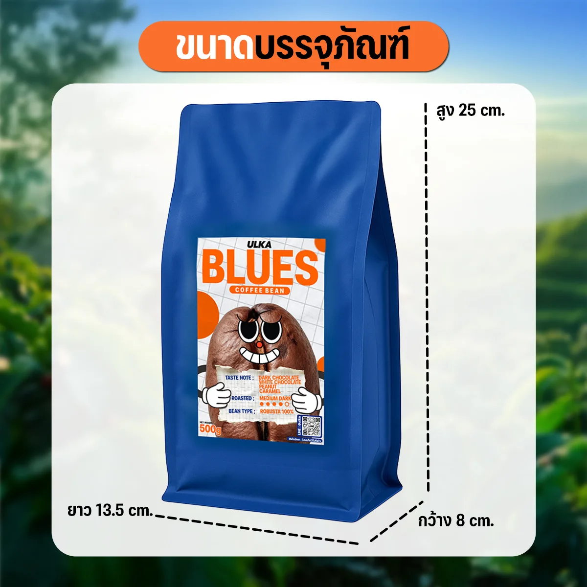 เมล็ดกาแฟคั่วกลางเข้ม Robusta100% - Image 7
