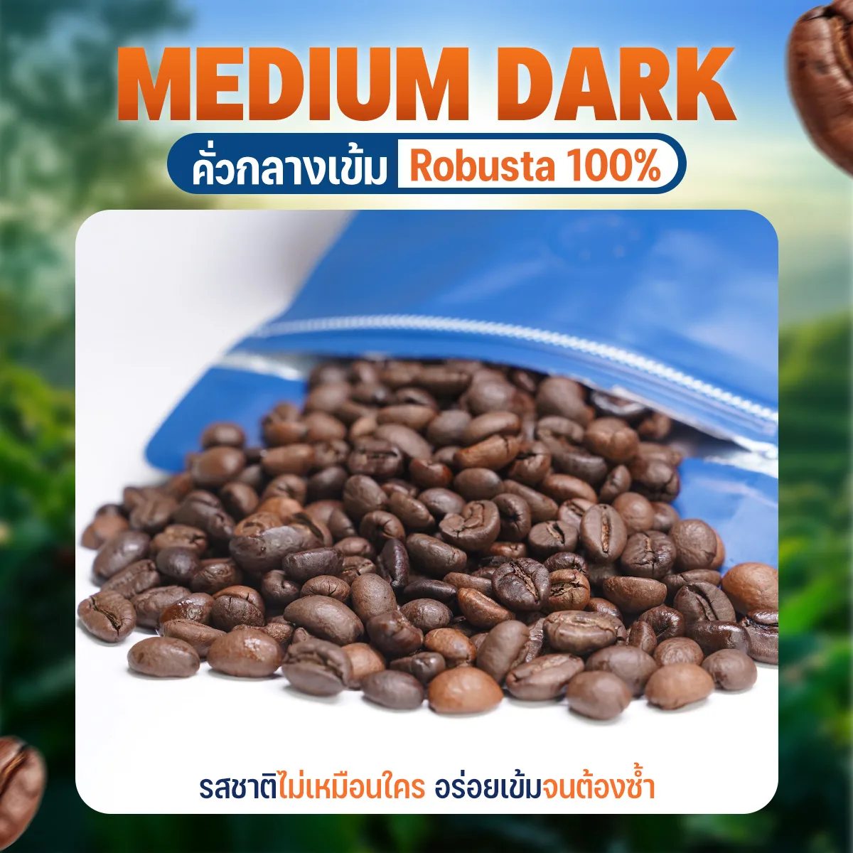 เมล็ดกาแฟคั่วกลางเข้ม Robusta100% - Image 4