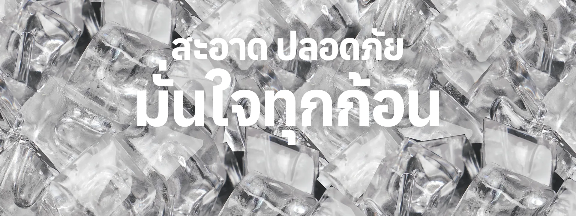 แบนเนอร์แนะนำสินค้า ULKA