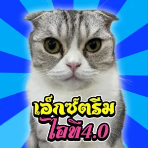 โลโก้ Extream IT